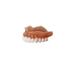 Keydenture Base Dark Veined .5Kg