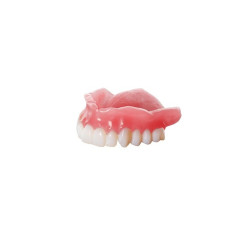 Keydenture Base Light Reddish Pink .5Kg