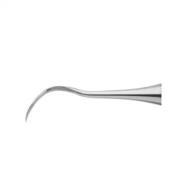 Nevi 4 Sickle Scaler, EE Smooth Metal