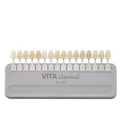 VITA Classical A1-D4 Shade Guide