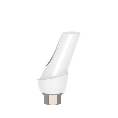 Esthetic Zirconium Abutment Titanium Base 25° Angulated, 2 mm x 11 mm