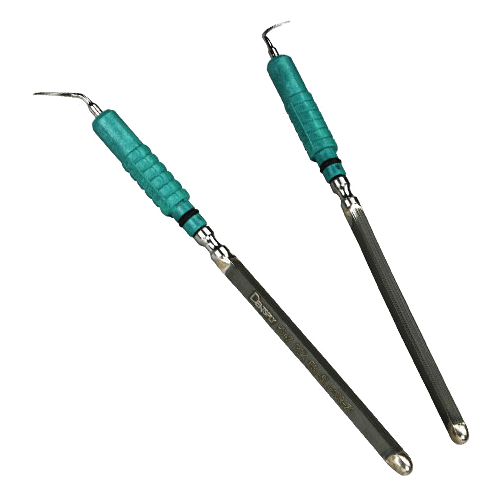 Dentsply, 80401