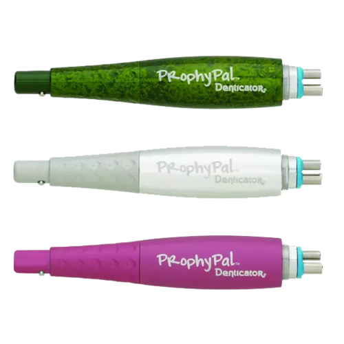 Young, Classic Silver ProphyPal Pack of 3, 750003
