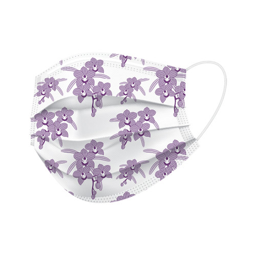 BeeSure Earloop Face Mask, ORCHID Printed Floral Design, 50/Box