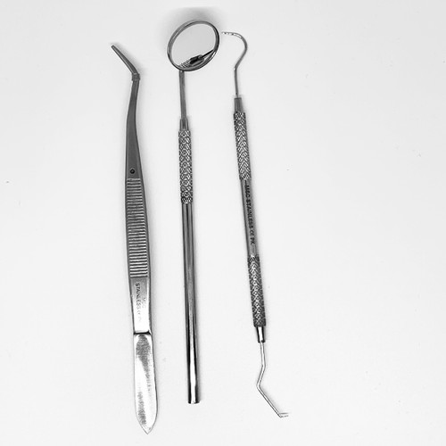 Infection ControlHouse Brand Basic 3-Piece Examination Set. Includes 1 Oral Mirror, 1 Probe