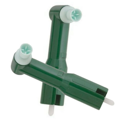Infection ControlHouse Brand Prophy Angles, Disposable, Firm, 500pcs, Dental