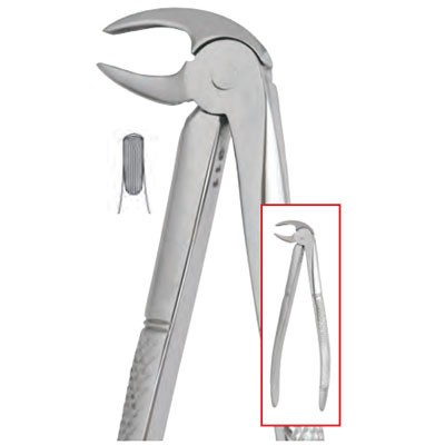 Infection ControlHouse Brand #13 English pattern extracting forceps