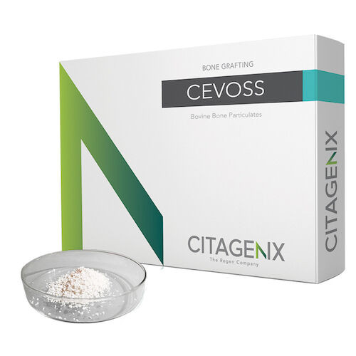 CevOss Bone Matrix Implant CevOss 5cc Bovine bone graft .25-1mm vial