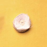 Infection ControlMidget Muslin Buffs 7/8" x 16", 10/Pkg.