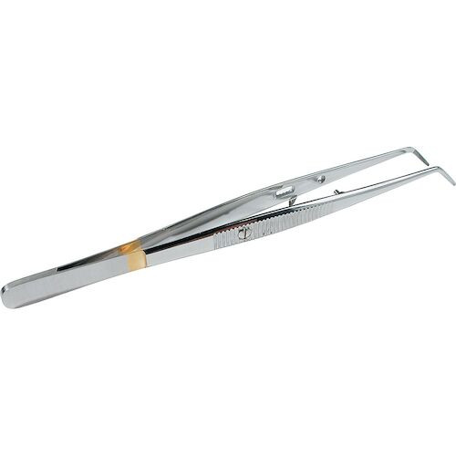 Infection ControlCotton and Dressing Pliers College, Self-Lock, 6", Serrated Handle
