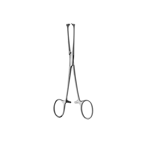 Allis Tissue Forcep, 5x6 Teeth, 15CM