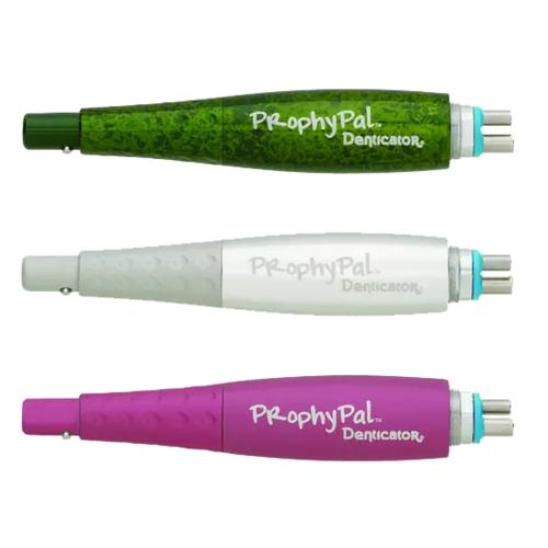 Young, Classic Silver ProphyPal Pack of 3, 750003