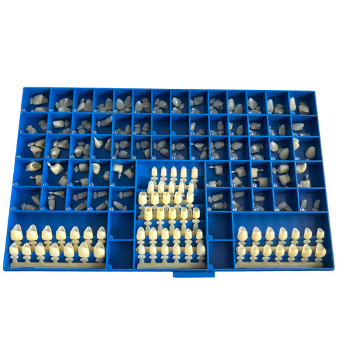 Polycarbonate Crowns, Anterior & Premolars, 180/Kit