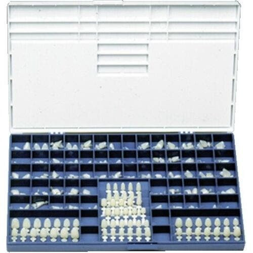 Polycarbonate Crowns, , 22, 5/Box
