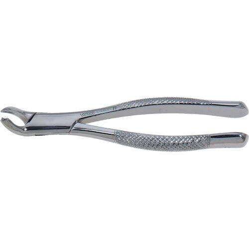 Stainless Steel Extraction Forceps, , #17