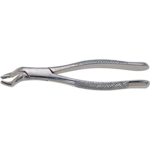Stainless Steel Extraction Forceps, Straight Handle, #53L