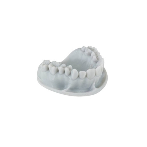 Keystone, Keyorthomodel .5Kg, 4200003