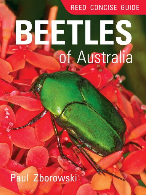 Reed Concise Guide Beetles of Australia