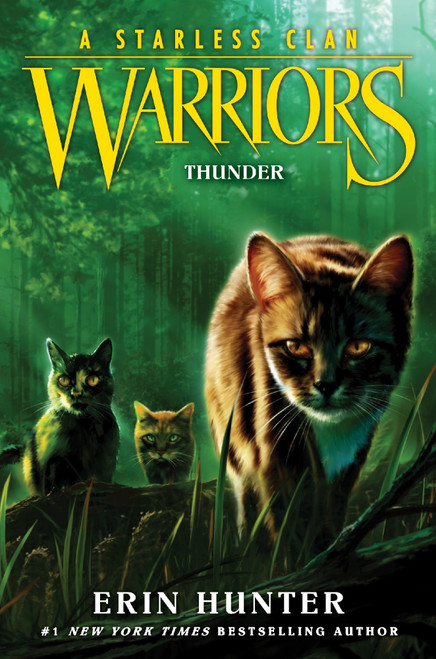 Warriors - Thunder HB (Starless Clan #4)