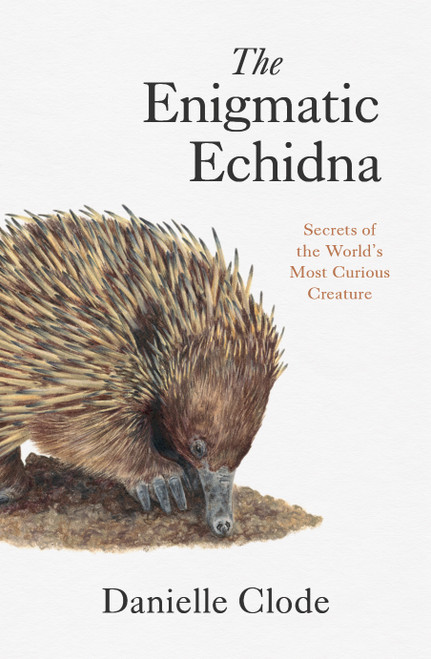 Enigmatic Echidna
