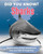 Did You Know? Sharks