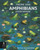 There Are Amphibians Everywhere