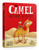 The Camel Who Had The Hump