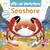 Pop-Up Peekaboo! Seashore