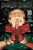 Jujutsu Kaisen, Vol. 30