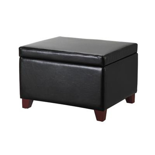 Storage Ottoman with Hinged Lid