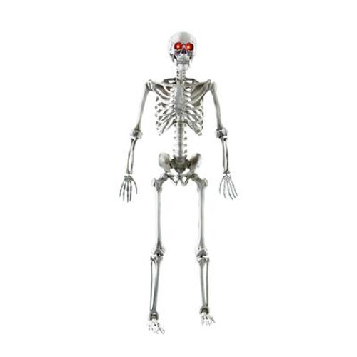 5-Foot Poseable Skeleton with LED Illumination & Try-Me Feature - Requires 3 ''AA'' Batteries