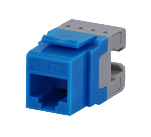 CAT 6 JACK, BLUE