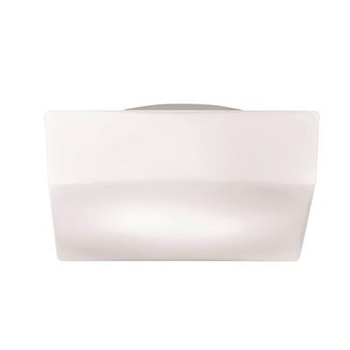 Amata Collection 1-Light Frost White Flush Mount