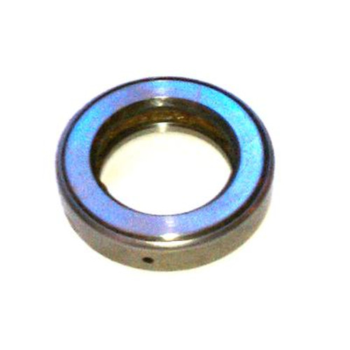 Windmill Head Pivot Bearing