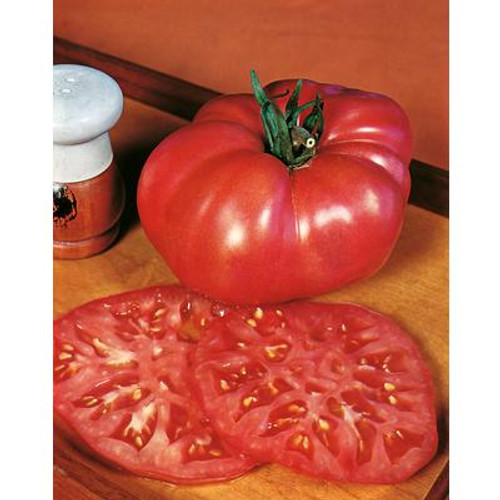 Tomato Ponderosa Pink