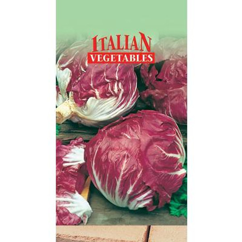 Radicchio Di Castlefranco