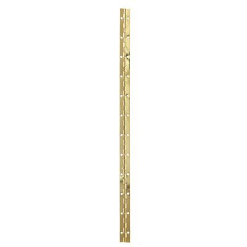 24 Inch X1-1/16 Inch  Brass Cont Hinge