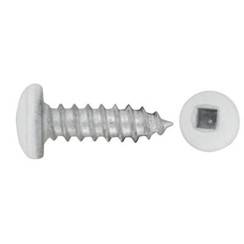 #7x1/2 Inch  White Wood Screw Sq Dr 18pk