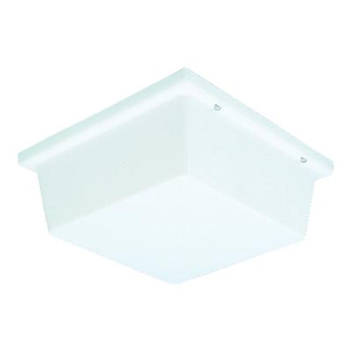 Hard-Nox Collection White 2-light Wall Lantern