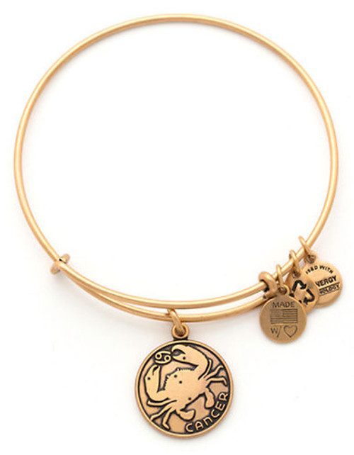 Alex And Ani Cancer Ii Charm Bangle - Gold