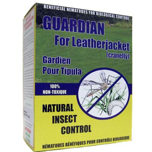 Guardian - For Leatherjacket Cranefly