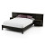 Gravity Collection Queen Bed with Headboard and Nightstand (60'') Ebony