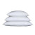 Ambassador 233TC Microfiber Pillow; Standard