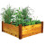 Raised Garden Bed 48x48x19 Safe Finish