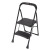 2-Step PRO Series Steel Step Stool