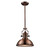 Chadwick 1-Light Pendant In Antique Copper