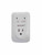 Single Outlet Wall Mount Surge With Alarm