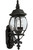 Onion Lantern Collection Textured Black 3-light Wall Lantern