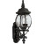 Onion Lantern Collection Textured Black 3-light Wall Lantern