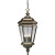 Crawford Collection Oil Rubbed Bronze 4-light Hanging Lantern